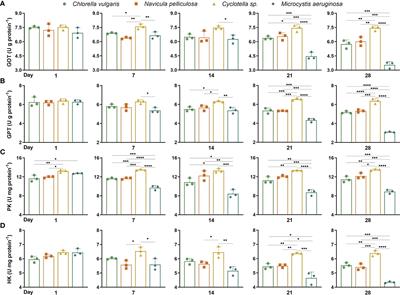 Molecular and biochemical effects on metabolism and immunity of Hyriopsis cumingii fed with four different microalgae